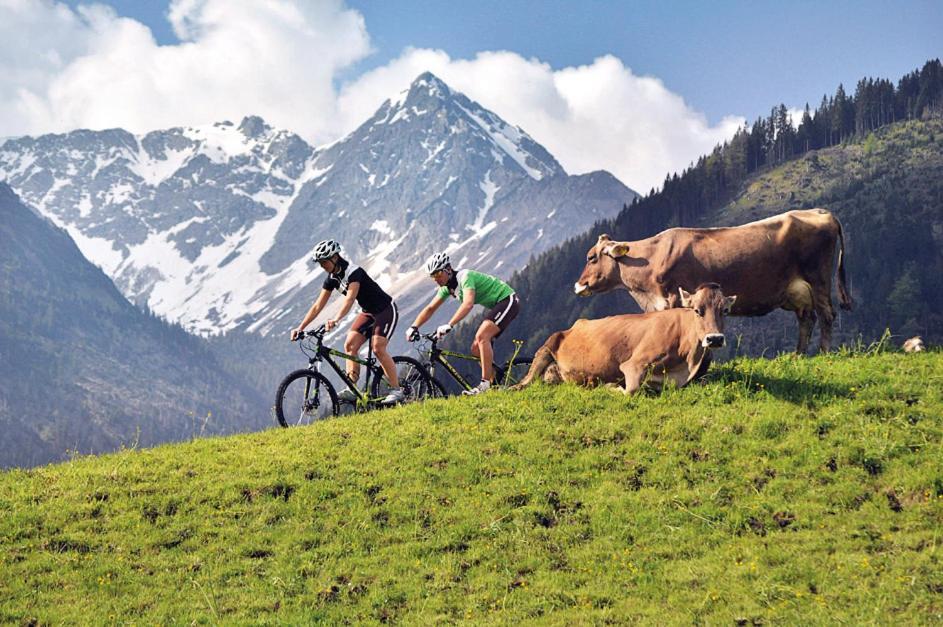 Alpin Lodges - Moderne Appartements Mit Zugang Zu 3000 Qm Spa Panoramahotel Oberjoch Бад-Хинделанг Экстерьер фото